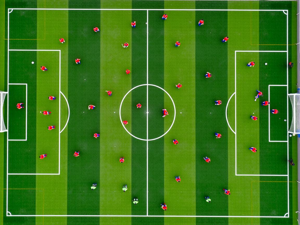 开云官网-奥运备战全面展开各项准备就绪,全力备战奥运会 第2张